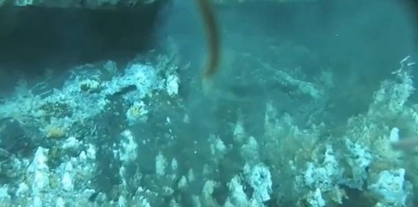 【深海科考新突破：我国发现金银高含量海底大型矿区】9 月 11 日消息，据央视新