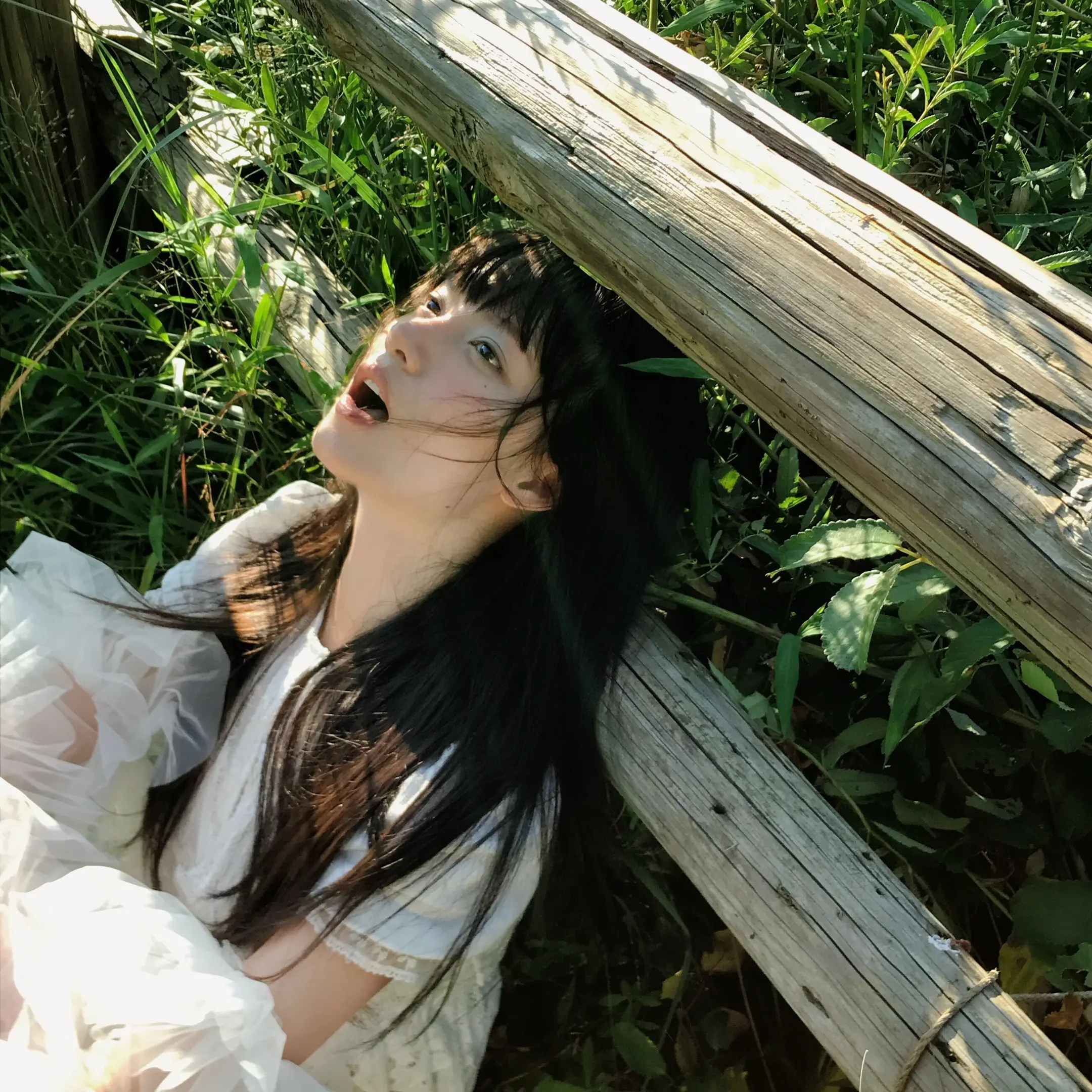 不是木讷的树。