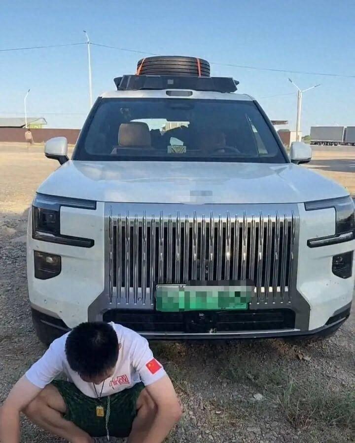 国内买的车只能国内开？河南，刘先生半年前全款入手了一台新款新能源SUV。趁着暑假