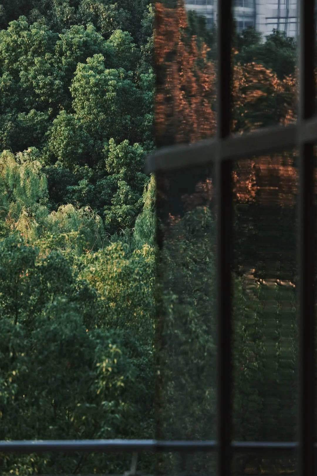 早八人的痛，连吃早饭的时间都没有，更别说熬四物汤了！学妹天天赶地铁，气血亏得不行