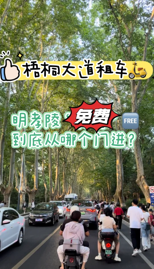 钟山风景区游客必看｜免费明孝陵哪个门进？