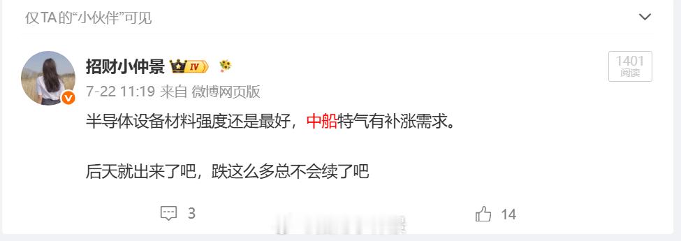 $中船特气 sh688146$ 的补涨反弹，看是看到了，没去参与现在这市场环境，