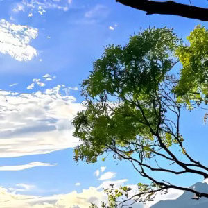 1000做事情要三思而行，要有前瞻的眼光与判断，要考虑到是否能够承担后果。一个错