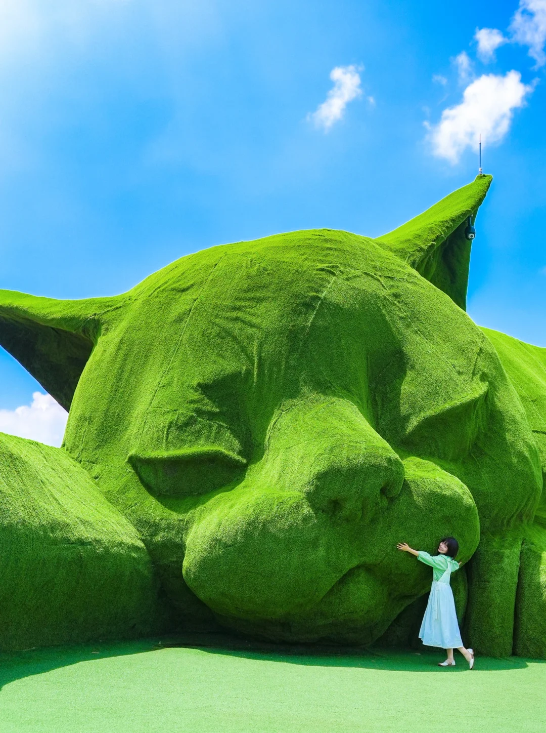 99%的人不知道的治愈猫岛，青岛高铁直达攻略