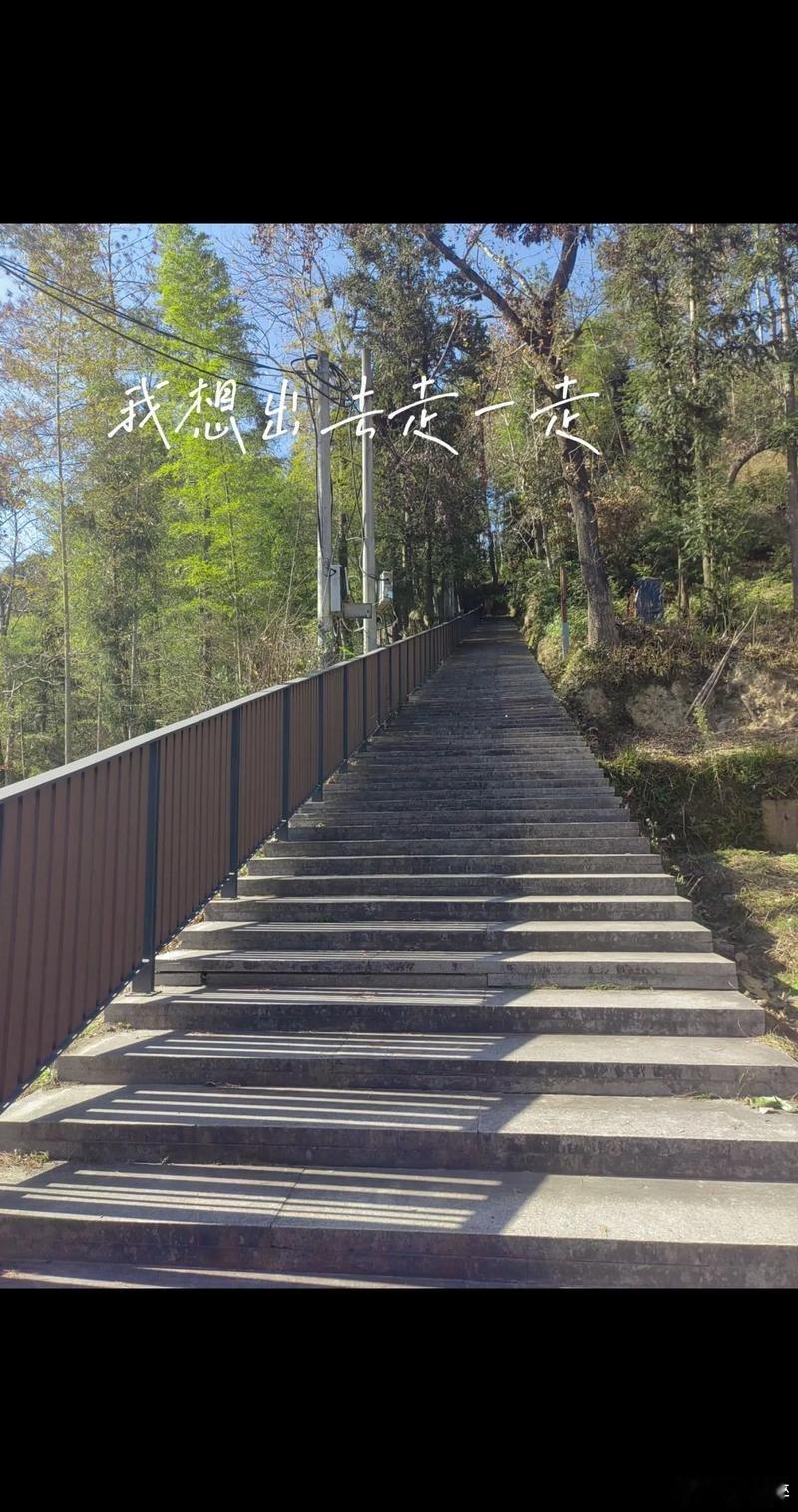 人就应该多出门走走不必总困在屏幕与工位的方寸里，多出门走走，风会裹着市井烟火撞进