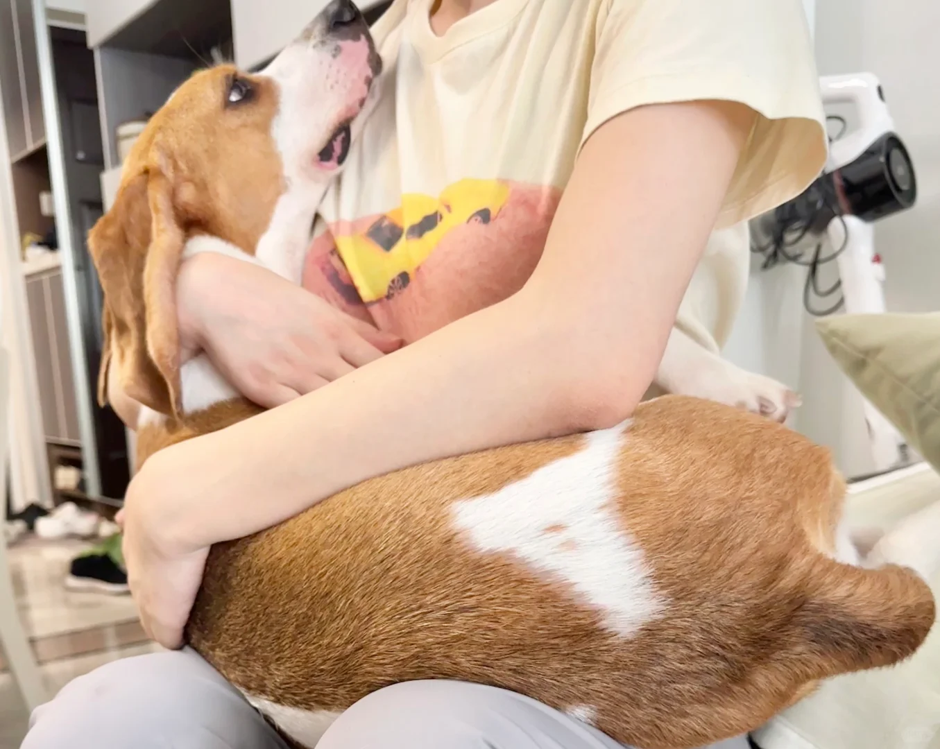 你们喜欢妈宝比吗？