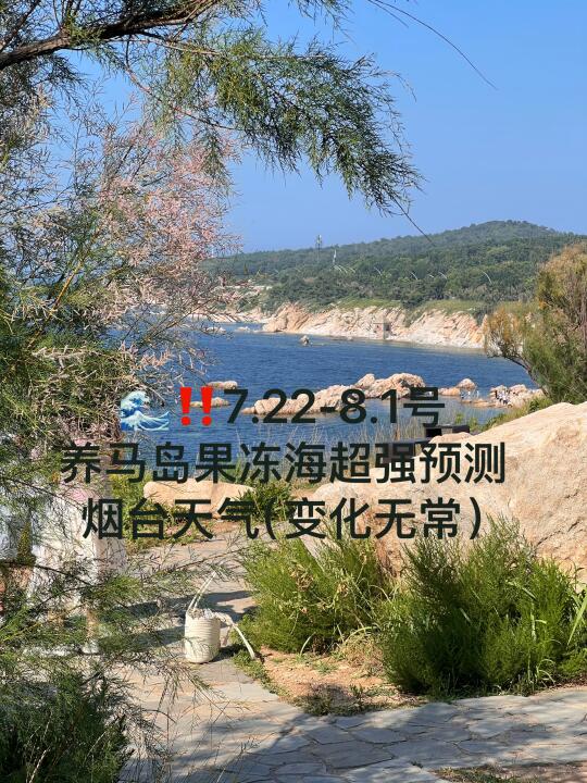 📍7.22-8.1号烟台养马岛果冻海超强预测