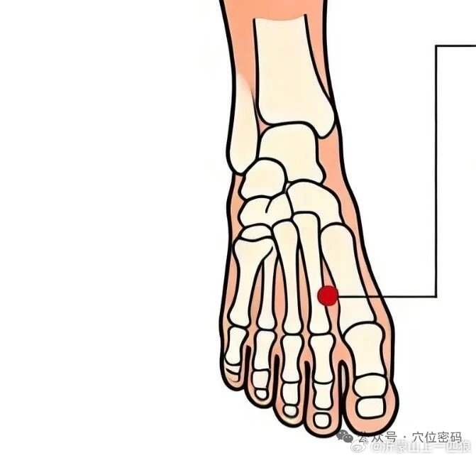 【最高级的养肝法，不是逍遥丸，不是龙胆泻肝丸，每天一次，闷气怒气都散了】前晚有个