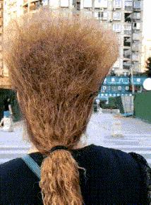 大妈这发型绝了，走到哪里都是风景线！