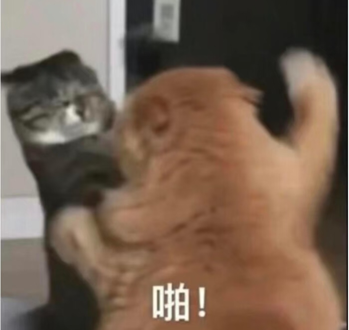 “我去你的！” 