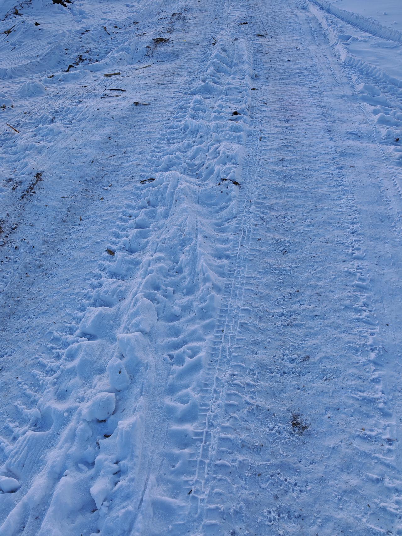 与痛风斗争的历程145
 
   今早醒来，浑身关节都格外顺畅，没有丝毫不适与痛