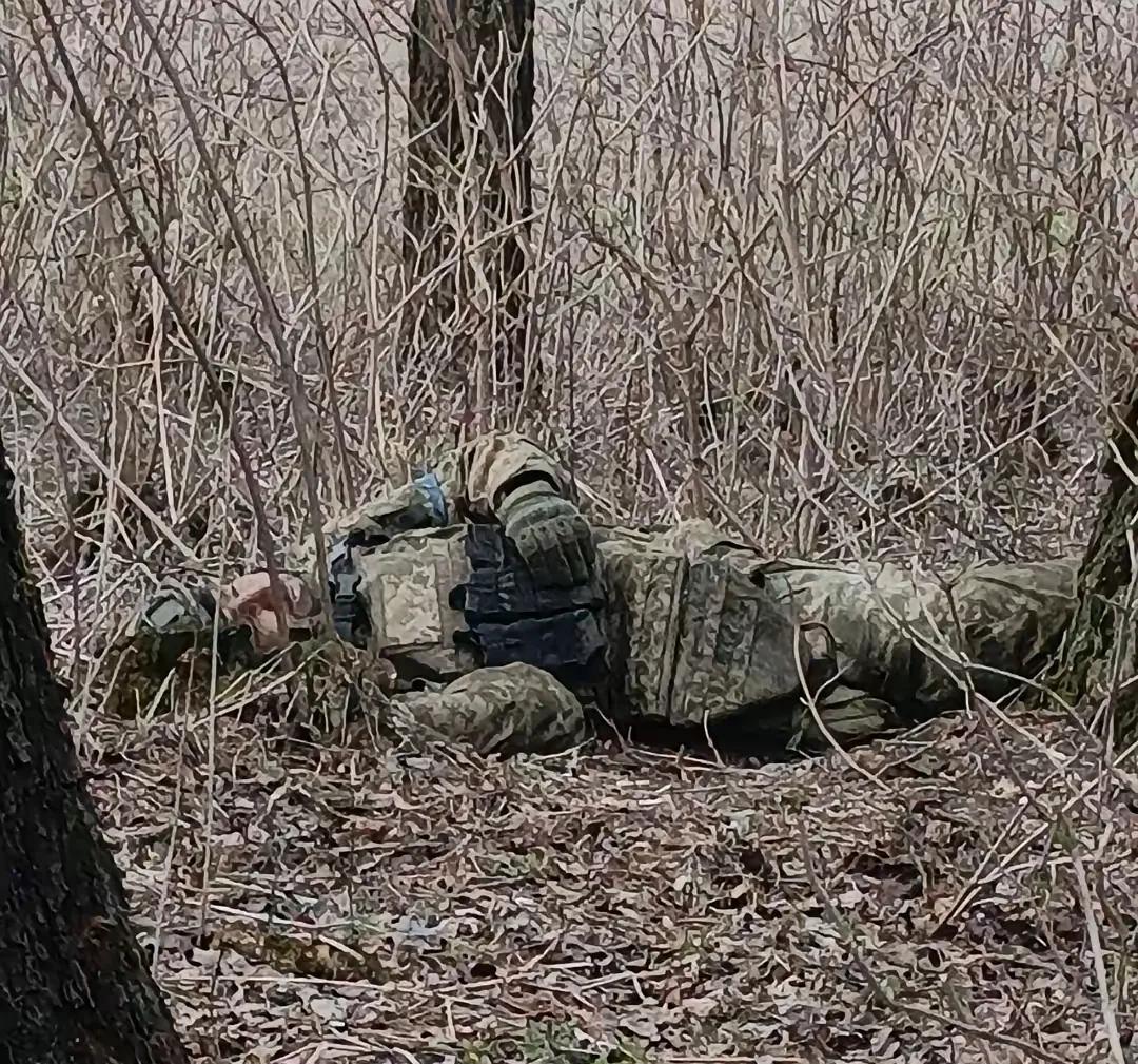 俄罗斯总统普京透露出的数据让人感到非常地震惊，也感到战争是如此残酷。这时候，普京