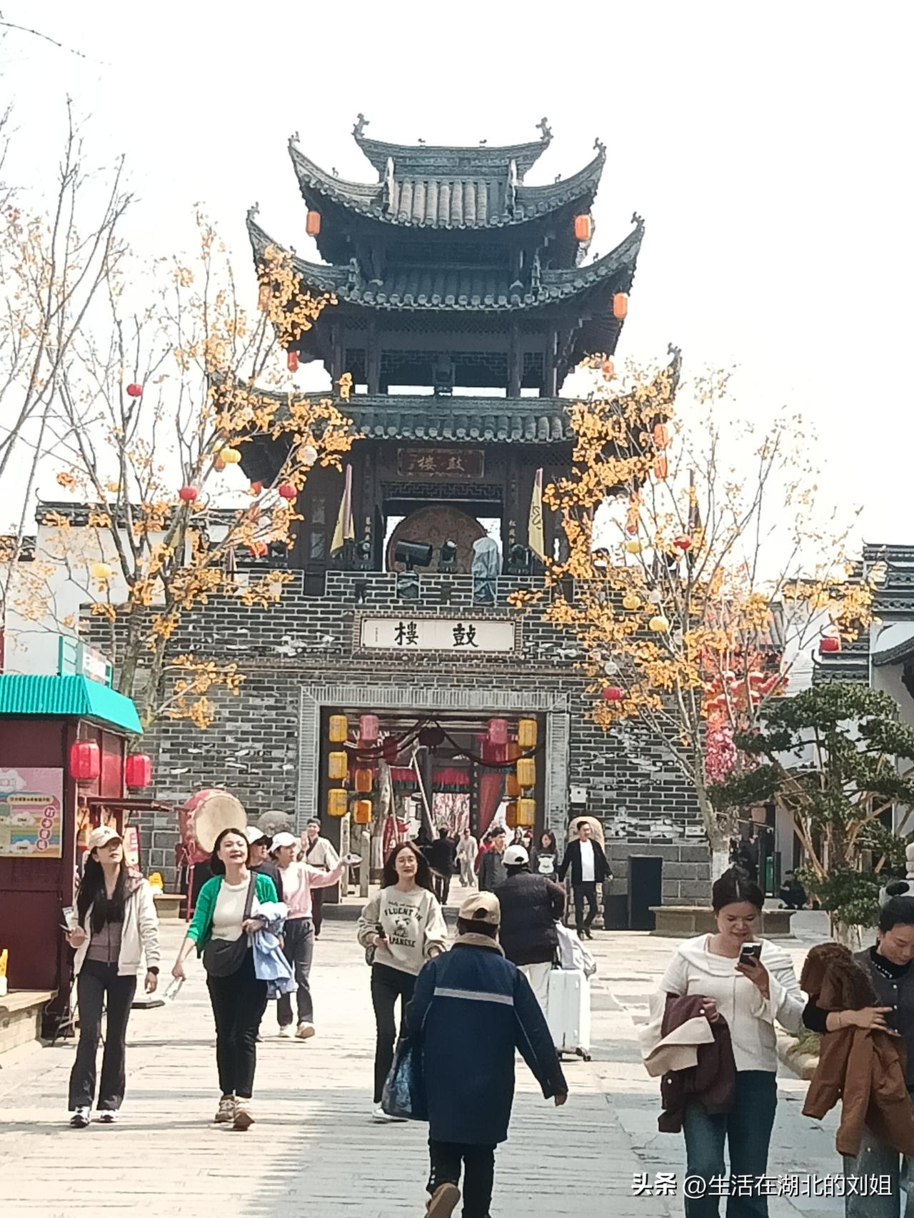 退休一个月了，早上睡到十点多起床，起床后烧壶水泡茶，喝一个多小时。清醒点了肚子饿