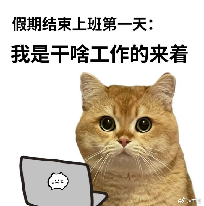 开工第一天，大家早呀～早上好开工大吉 ​​​