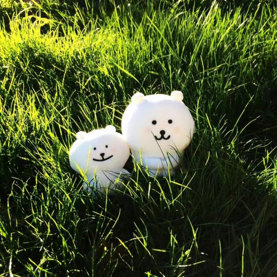 掌门小师傅