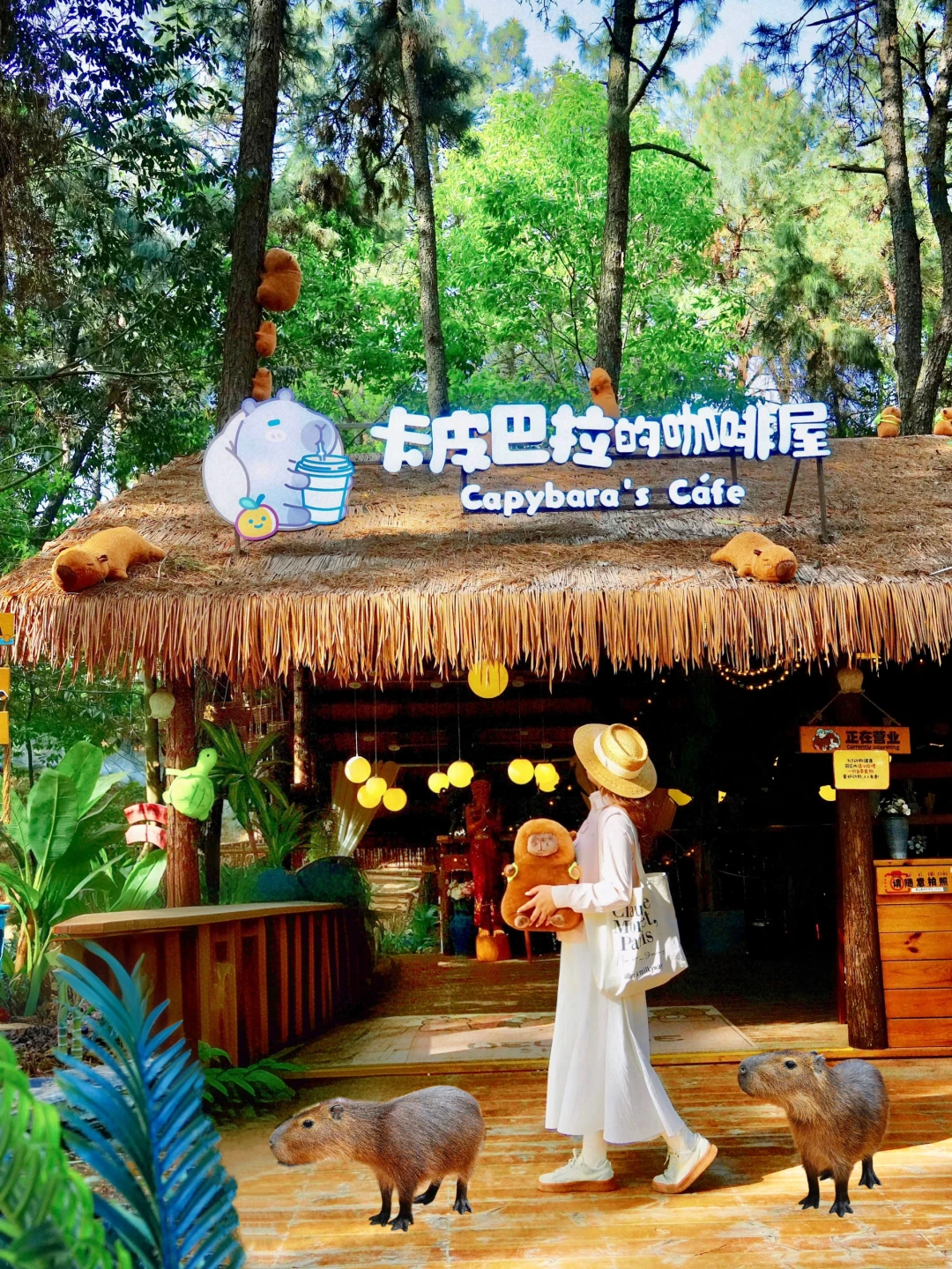江浙沪周边游🍃卡皮巴拉咖啡屋好治愈！！！！！