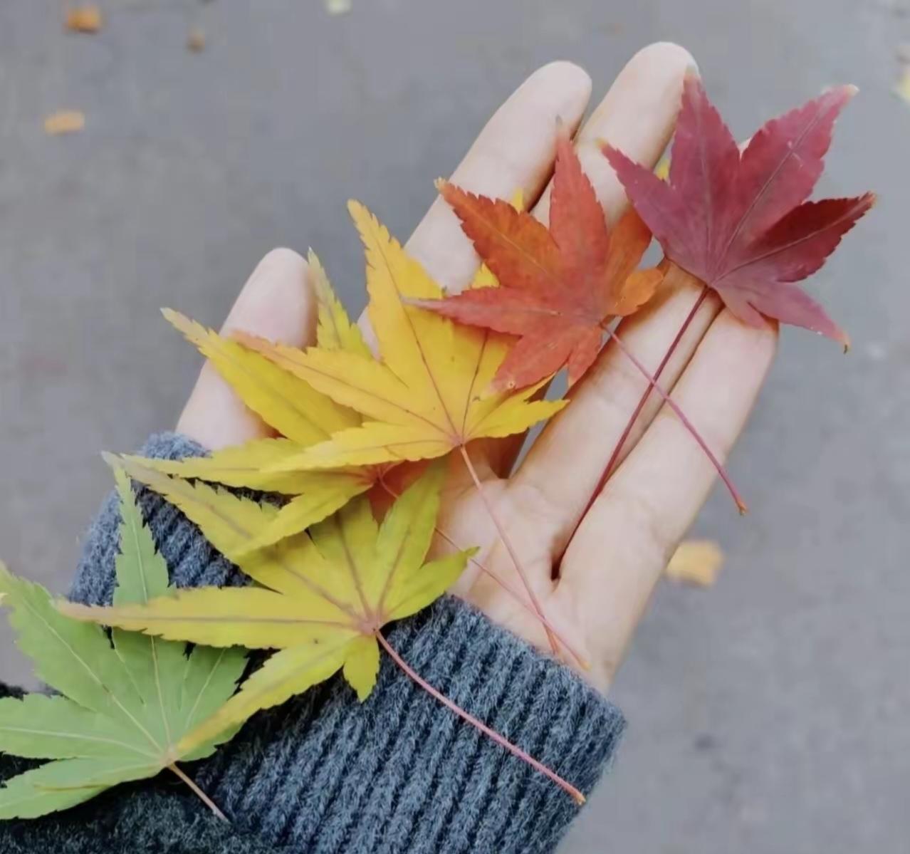 人间至此秋色尽，草木摇落露为霜！