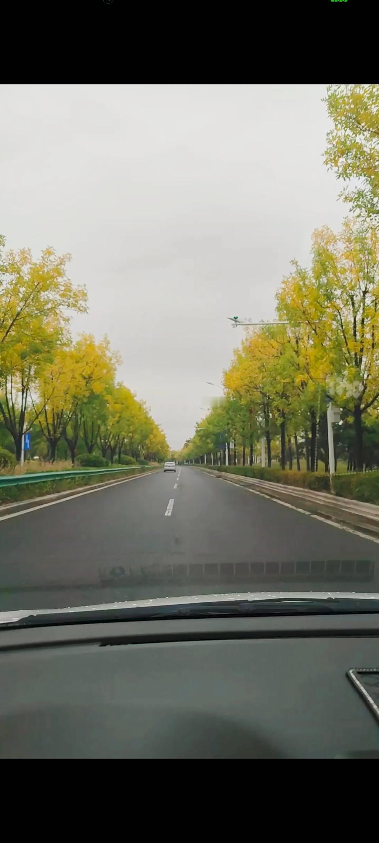 一场秋雨一场寒，秋风秋雨秋叶黄，空气都是清冷的味道。
穿上大毛衣，暖暖的，厚厚的