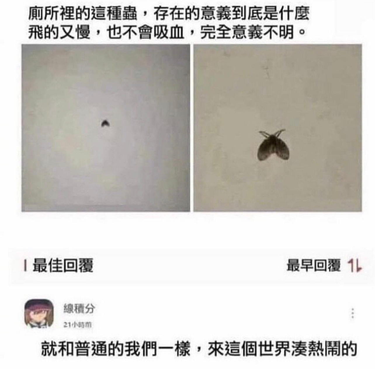 我#今日memes# ​​​