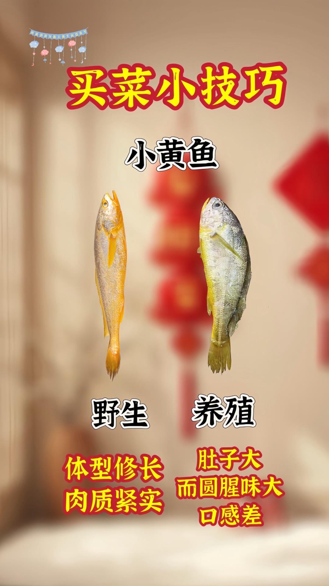 买菜不踩坑！6个挑菜口诀记牢。如何挑选蔬菜 家庭买菜技巧 应季蔬菜挑选 厨房必备