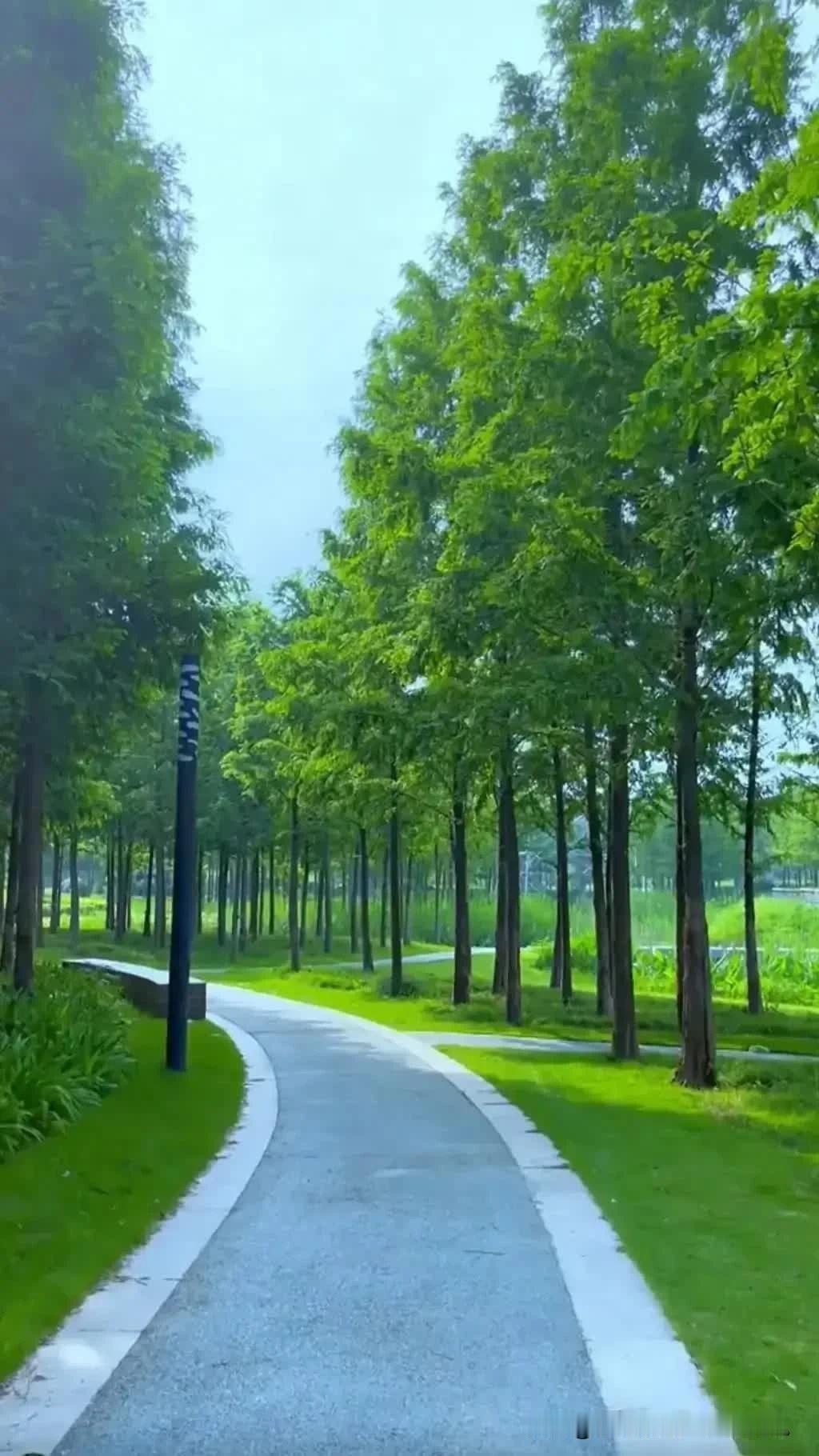 #上联:十里荷塘风光好。求下联#万亩麦田绿油油。