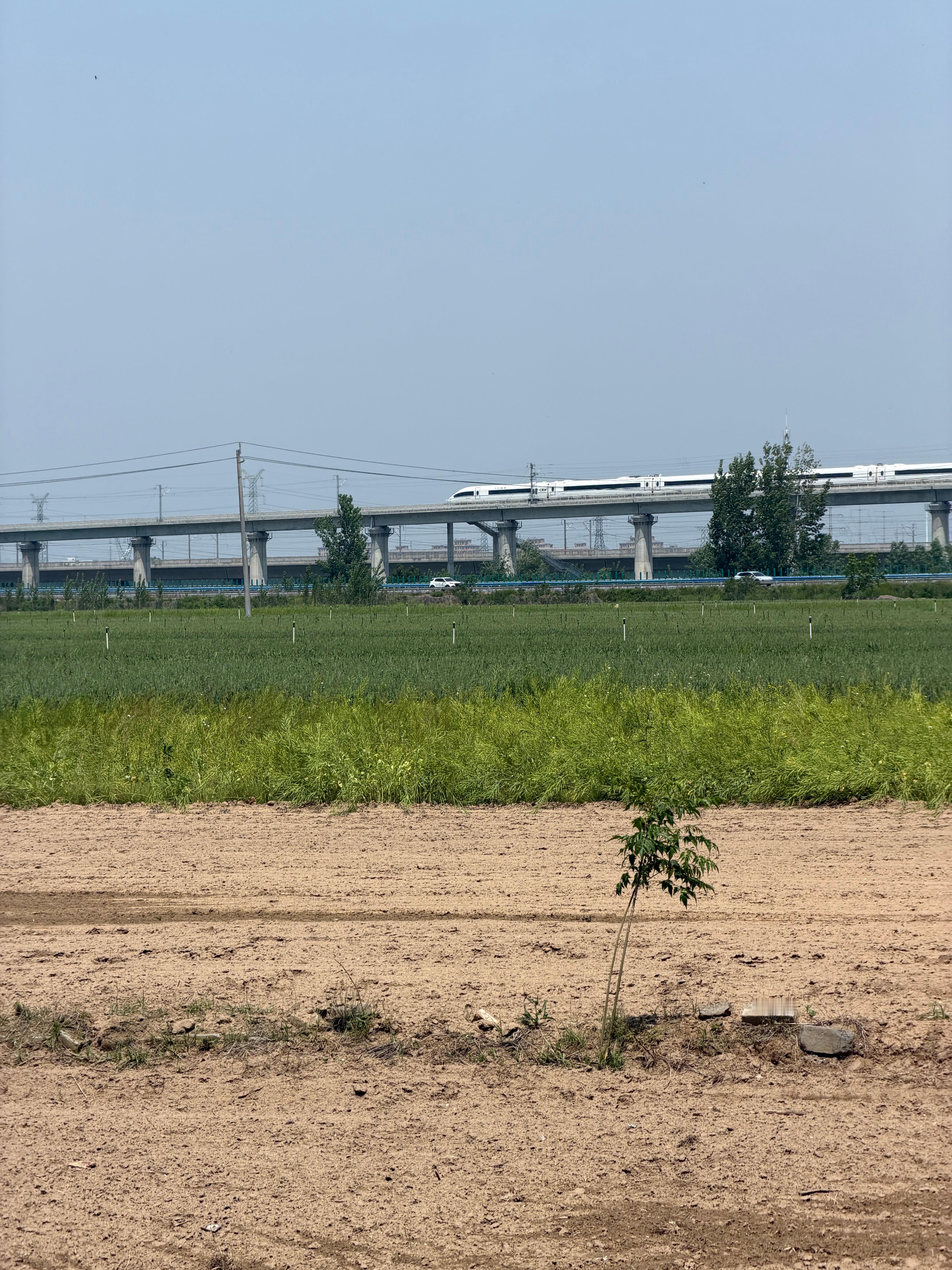 距离我村300米，是连霍高速公路，徐兰高铁、日兰高铁双线，交通四通八达，这般优越