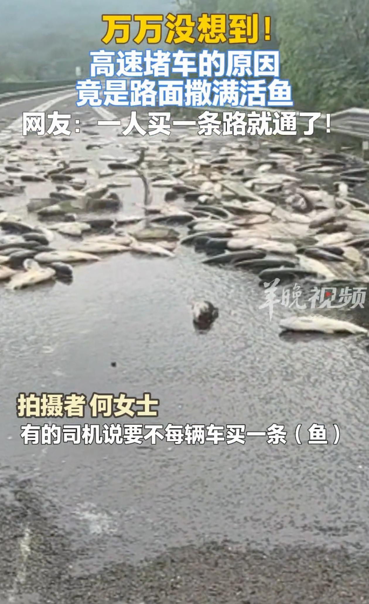 这个堵车原因是真的没想到！湖南，女子遇到高速堵车，来脾气的她走到最前面，非要看看