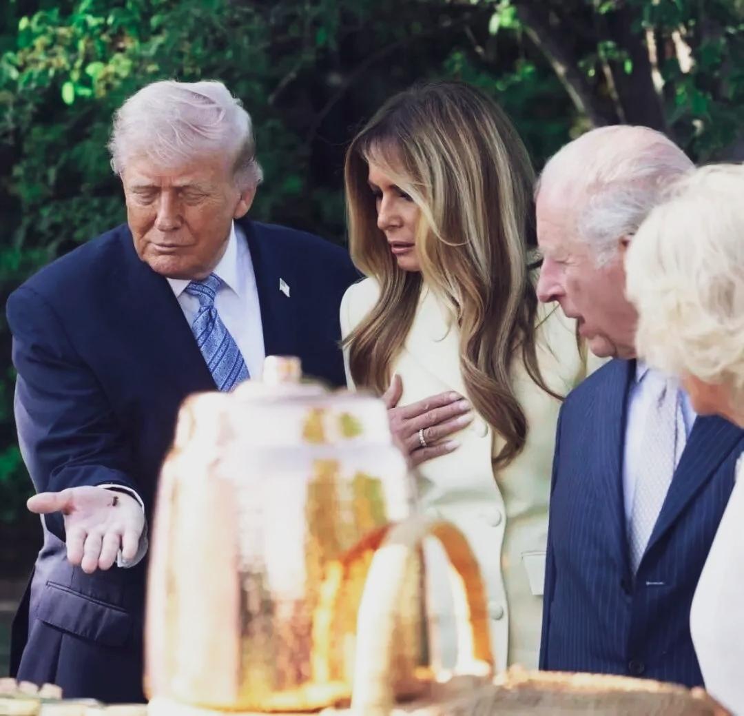 在欢迎英国国王夫妇仪式上，特朗普总统也显示一下自己的本领，你看，他成功地抓到了一