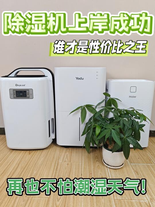 超好用的除湿机！怎么没让我早点发现！