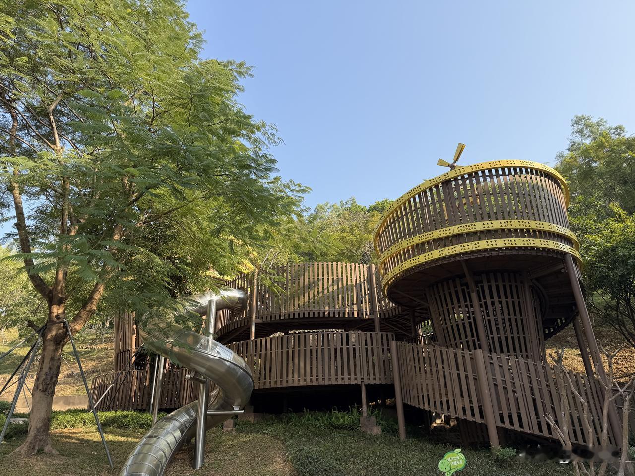 总在记忆里（1499）：孩子，早上好。今天深圳气温22摄氏度，还没有“入冬”成功