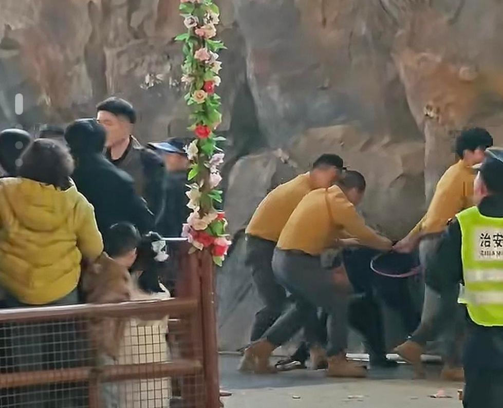 怎么看这事？我这三点：
第一，动物园的这个回应显然是想转移舆论，而且呢回应的内容