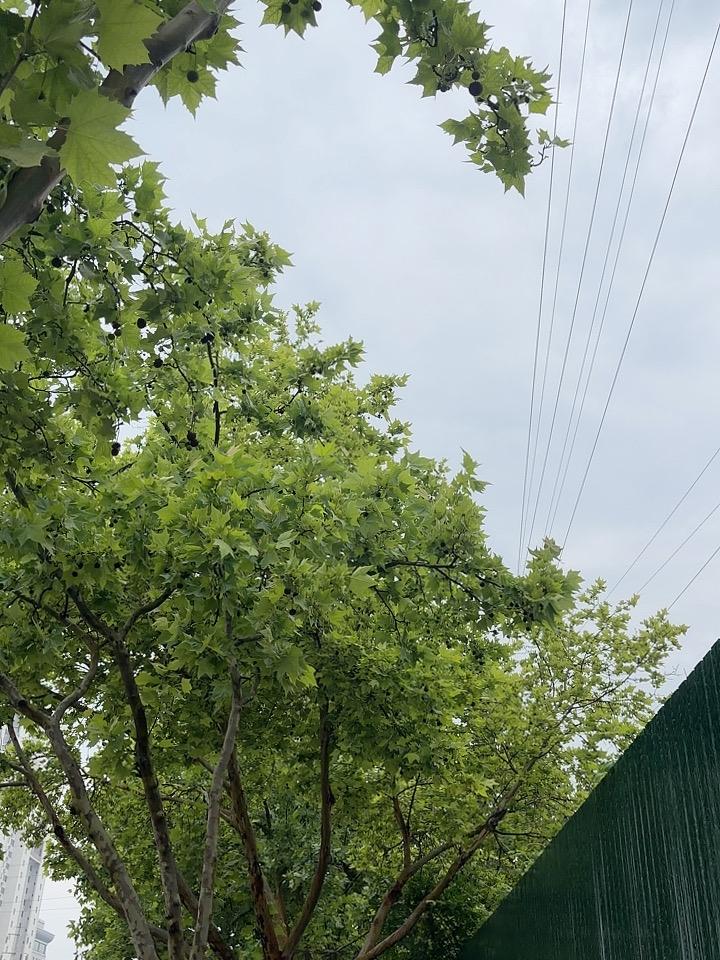 俄乌战争已经持续四年多，乌克兰已经成为了烧钱的机器，是个无底洞，欧洲已经看不到任