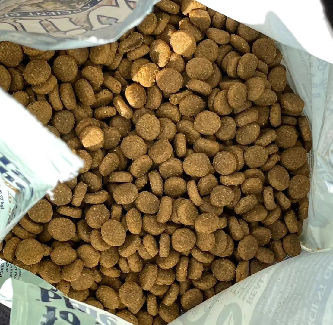 你们家博美啥时候掉毛严重啊？