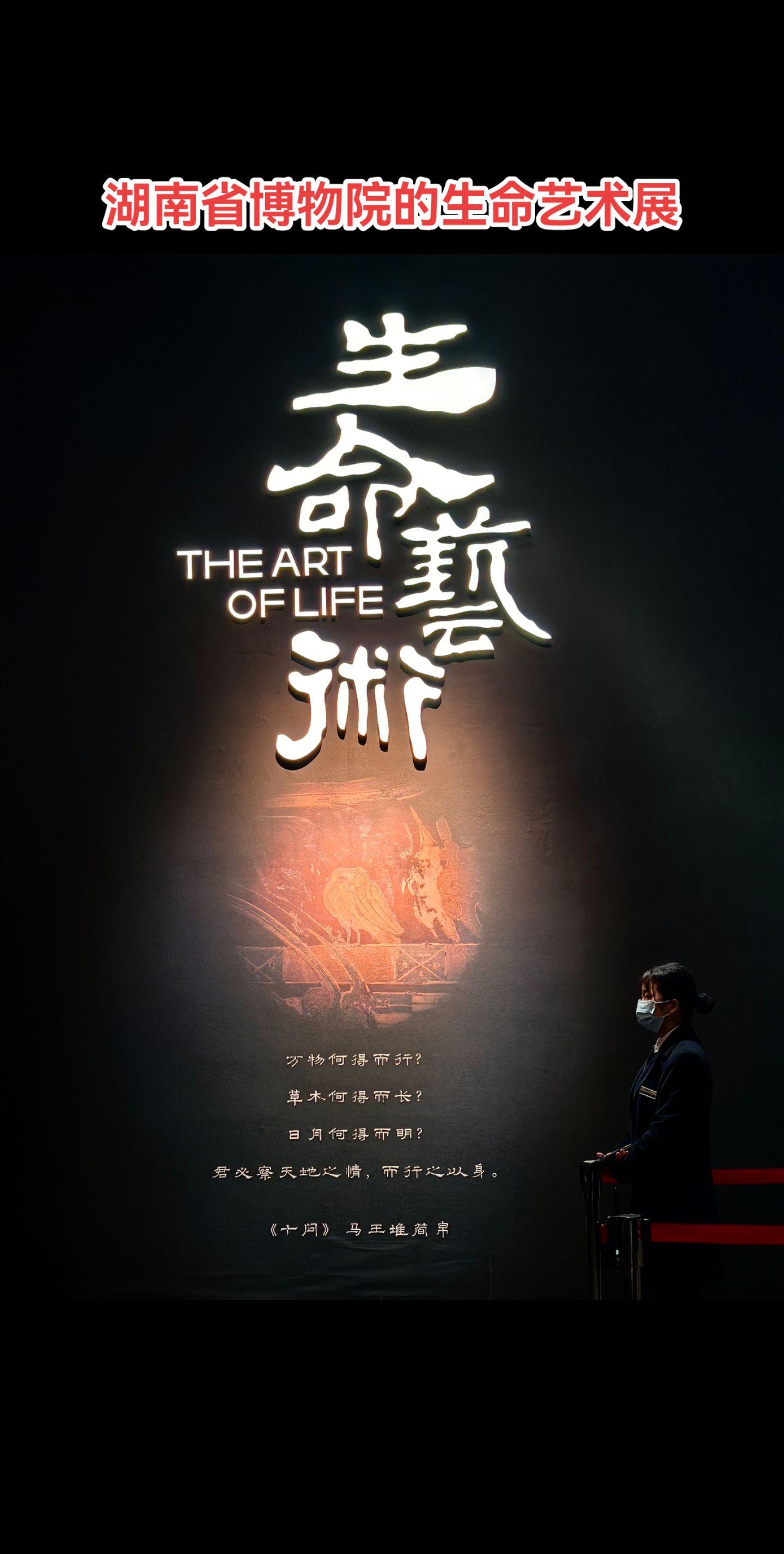 生命艺术随拍。湖南省博物院举办的生命艺术展(2025年2月16日结束)...