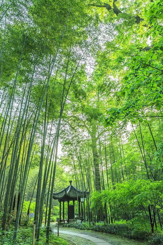 “你说现在的年轻人，心怎么就这么硬？”我那在殡仪馆干了八年的朋友阿凯，昨晚在烧烤