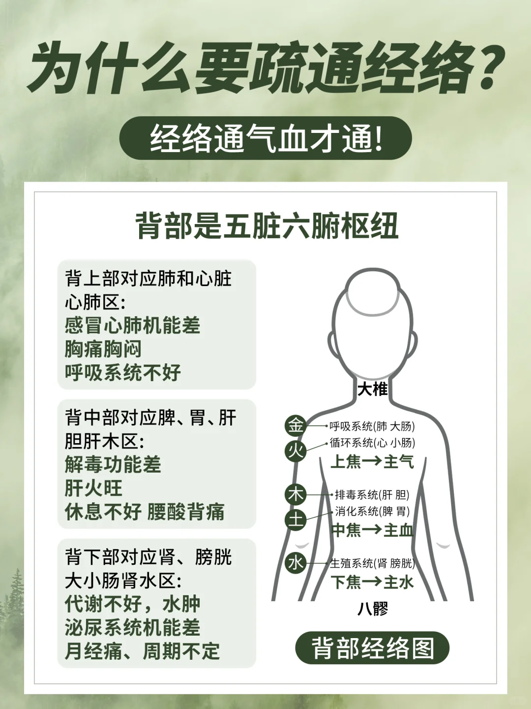 中医说：只有经络通气血才通！