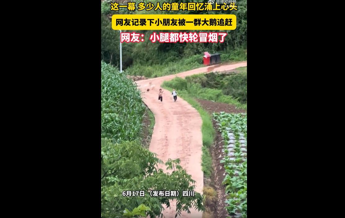 近日，一段有趣的视频在网络走红了。
视频中，两名小孩在前方拼命倒腾着小腿飞跑，身