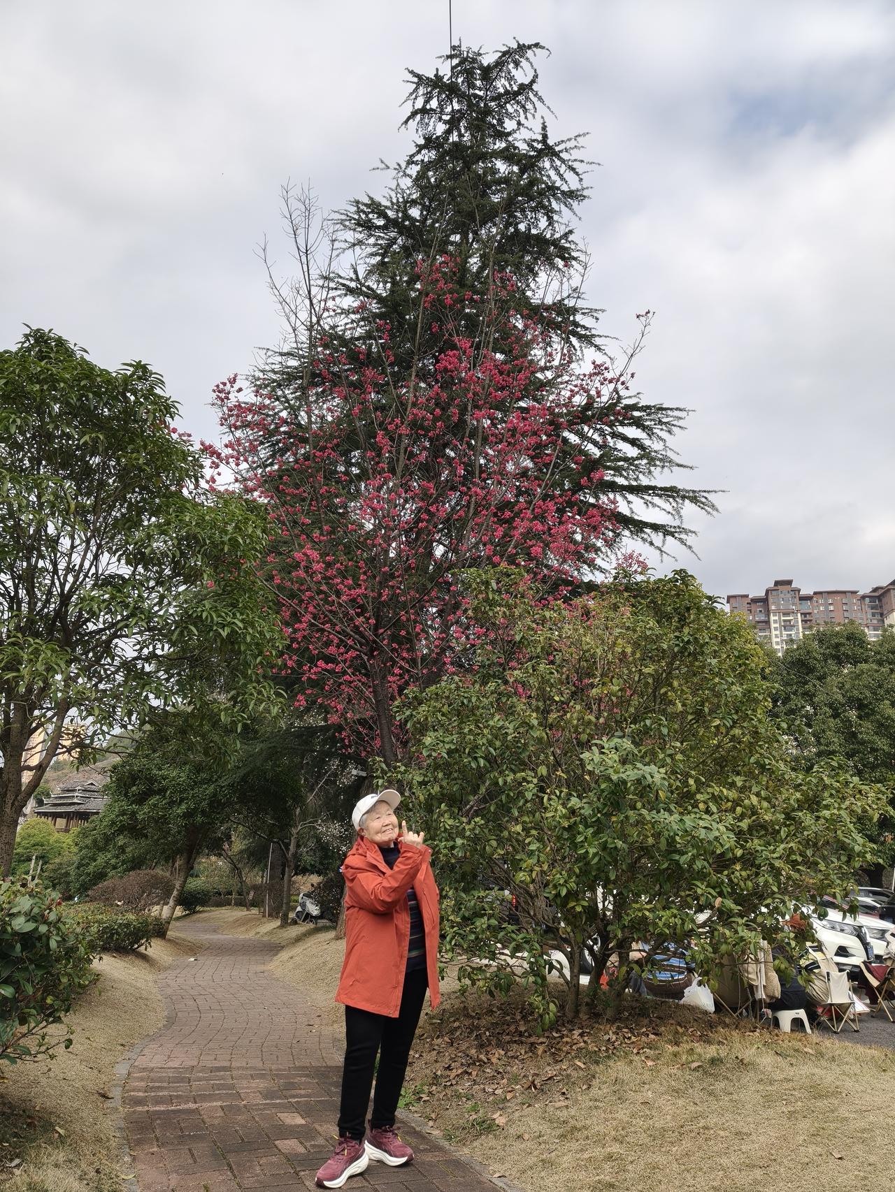 天气好，阳光明媚，气温暖和，带老人出来走走，拍拍照，提供聊天素材，有时幸福很简单