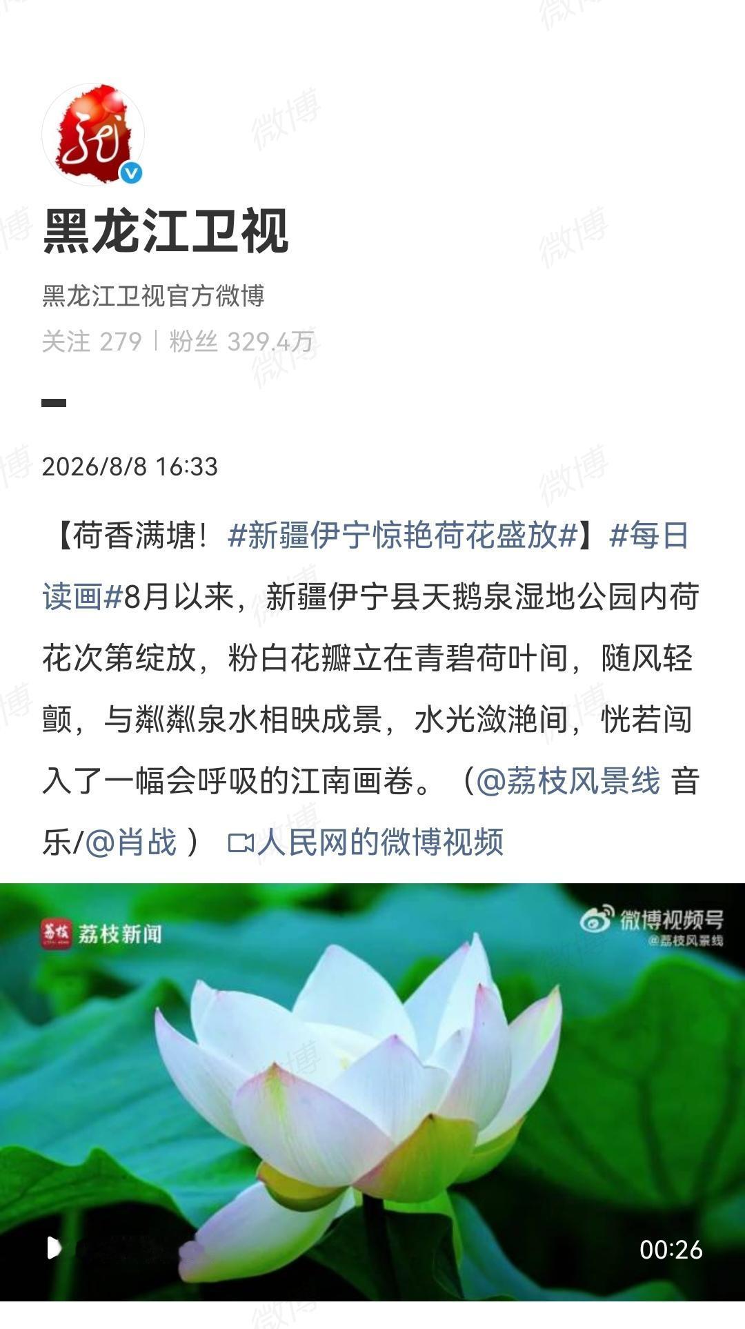 8月8日，黑龙江卫视发了肖战的歌[机智]