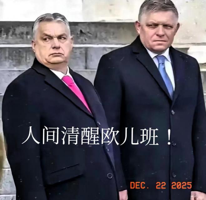 欧盟一直不断的给乌克兰贷款真相，被匈牙利总理欧尔班当场揭发，真相震惊了整个世界！