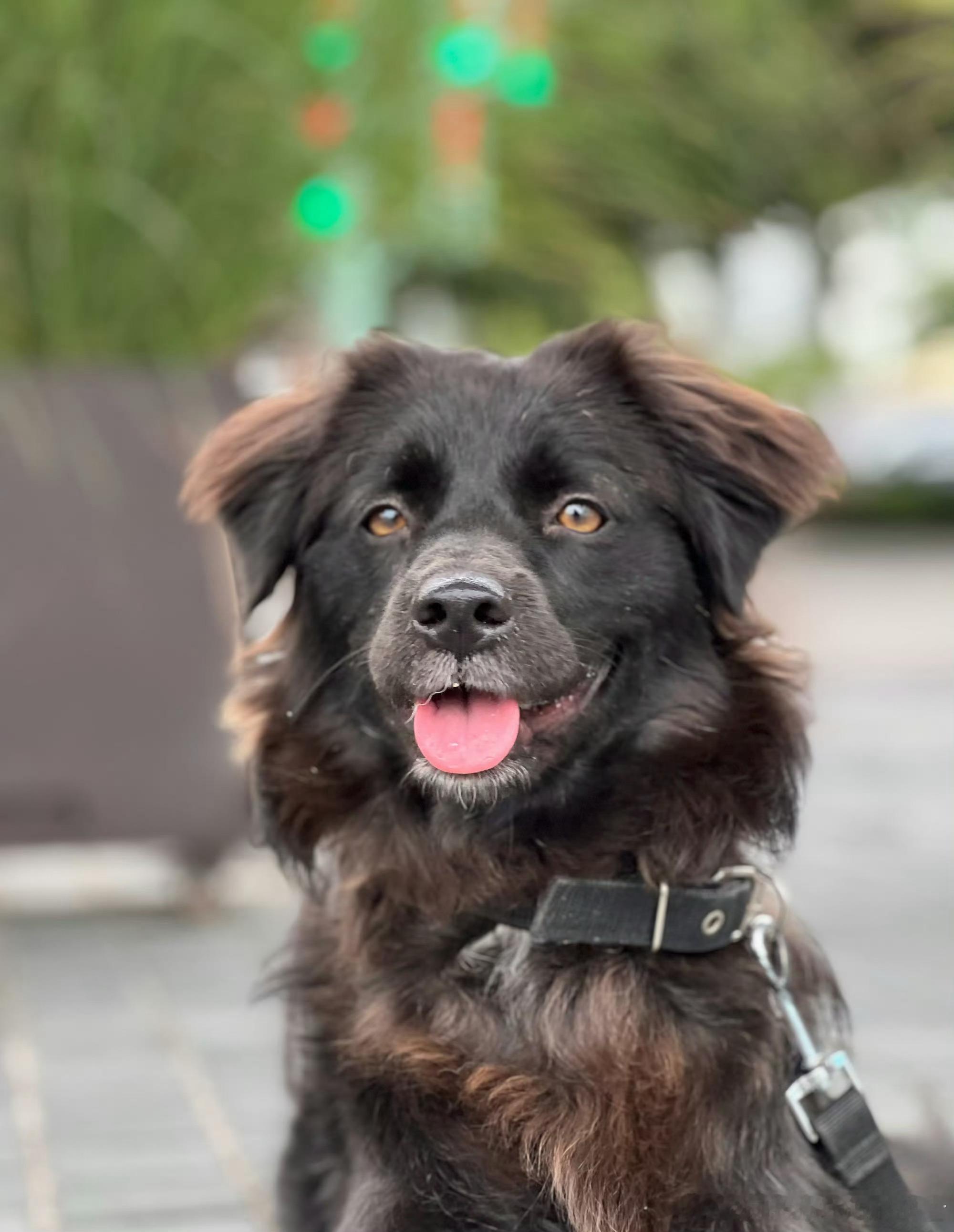 在交易的修罗场里，能量是你唯一的硬通货。别让那些情绪吸血鬼无休止的吸干你的精神力