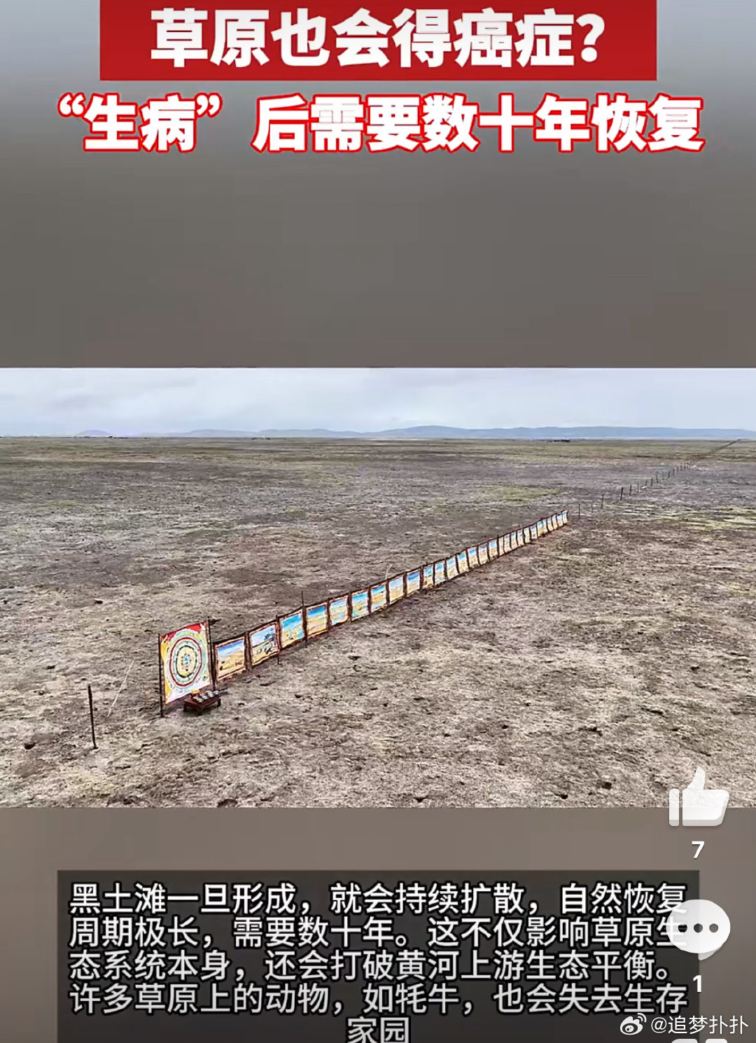 对抗“草原癌症”，守护最后一片绿海。🌿 在四川，连牦牛都在享受VIP包场待遇。