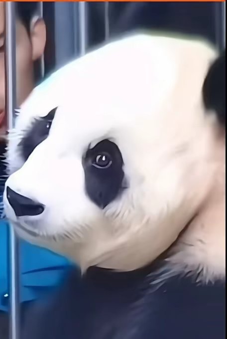 #生活手记##日落大道120号[超话]# ​​​