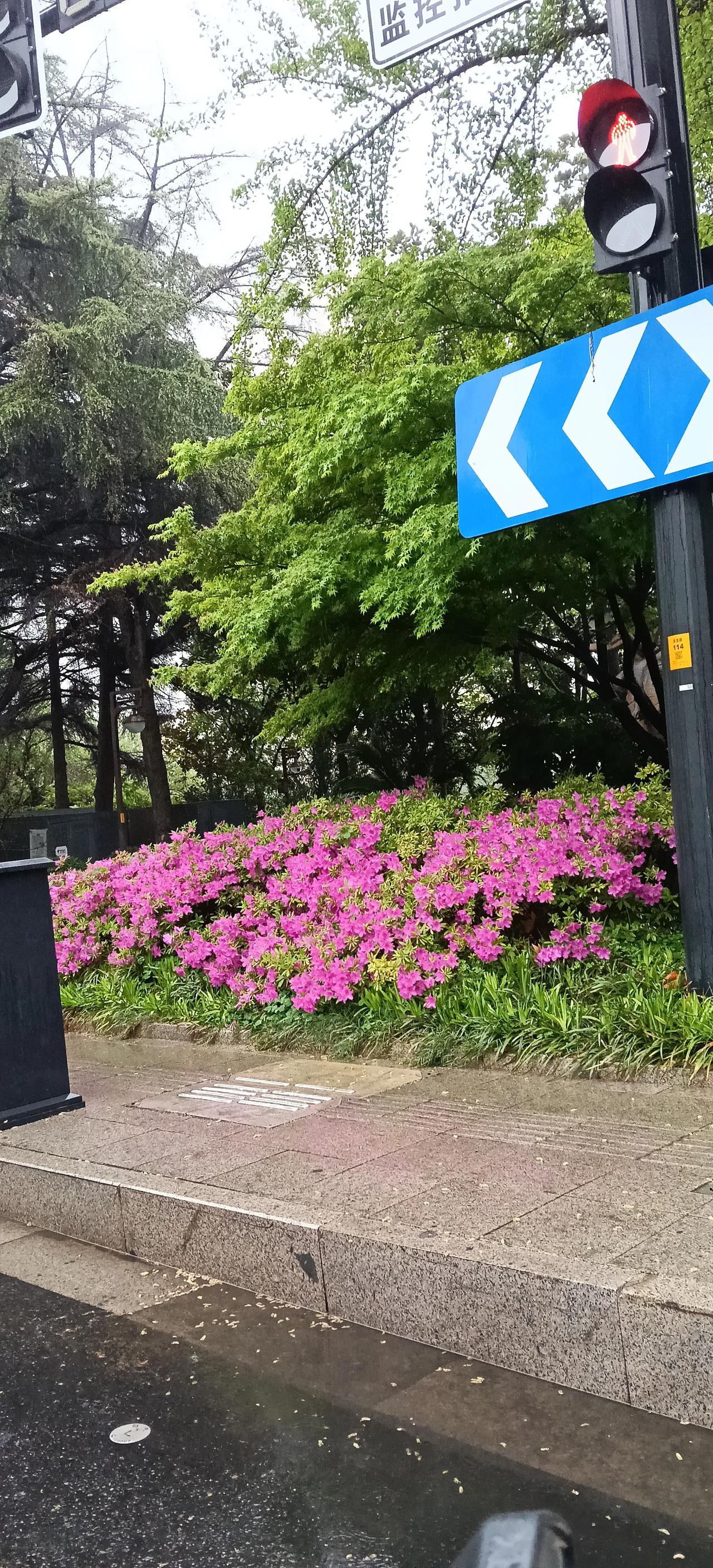 如果朱元璋还在世,朱棣敢造反吗?
朱元璋要是在世，朱棣别说造反，连想都不敢想。朱