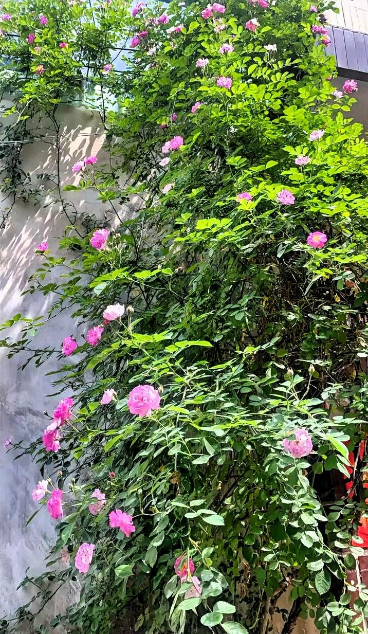 婚姻和事业哪个重要！
 
很多人纠结婚姻和事业到底哪个重要，其实不用分得太绝对。