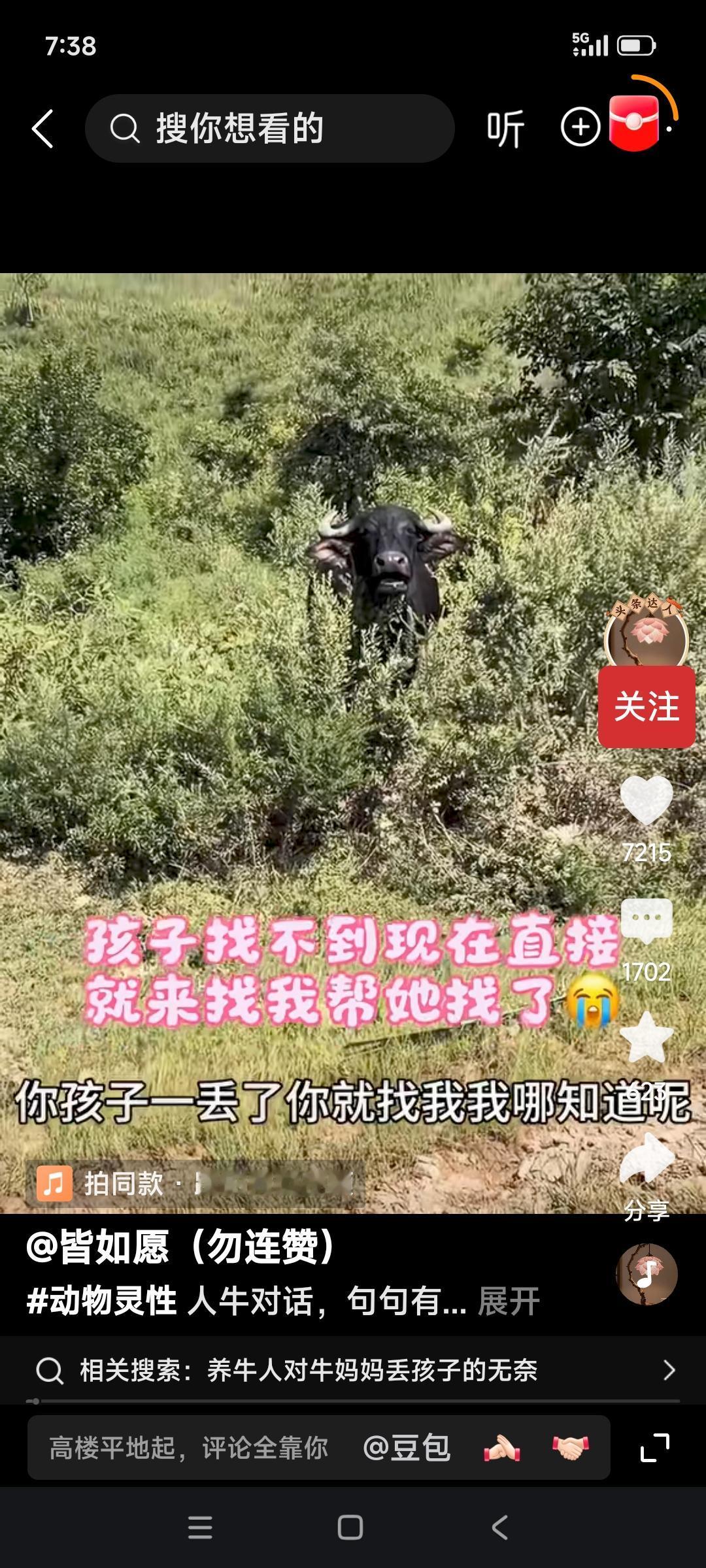 举案说法，深究一个谁都懂、谁都会用但追问又未必解释得清的字——“看”
2026年