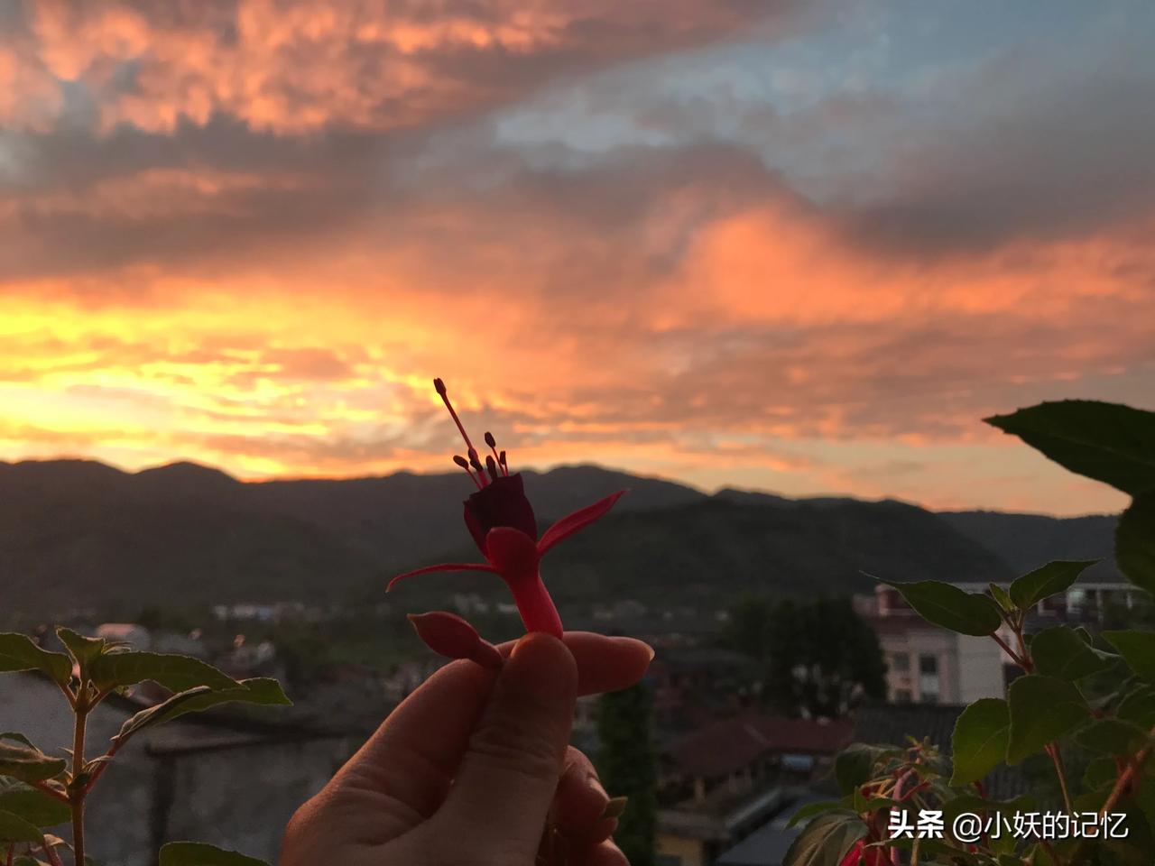  #阳平关# 请大家看美丽的家乡视角——晚霞染红一片天……[耶] 美炸了！我的阳