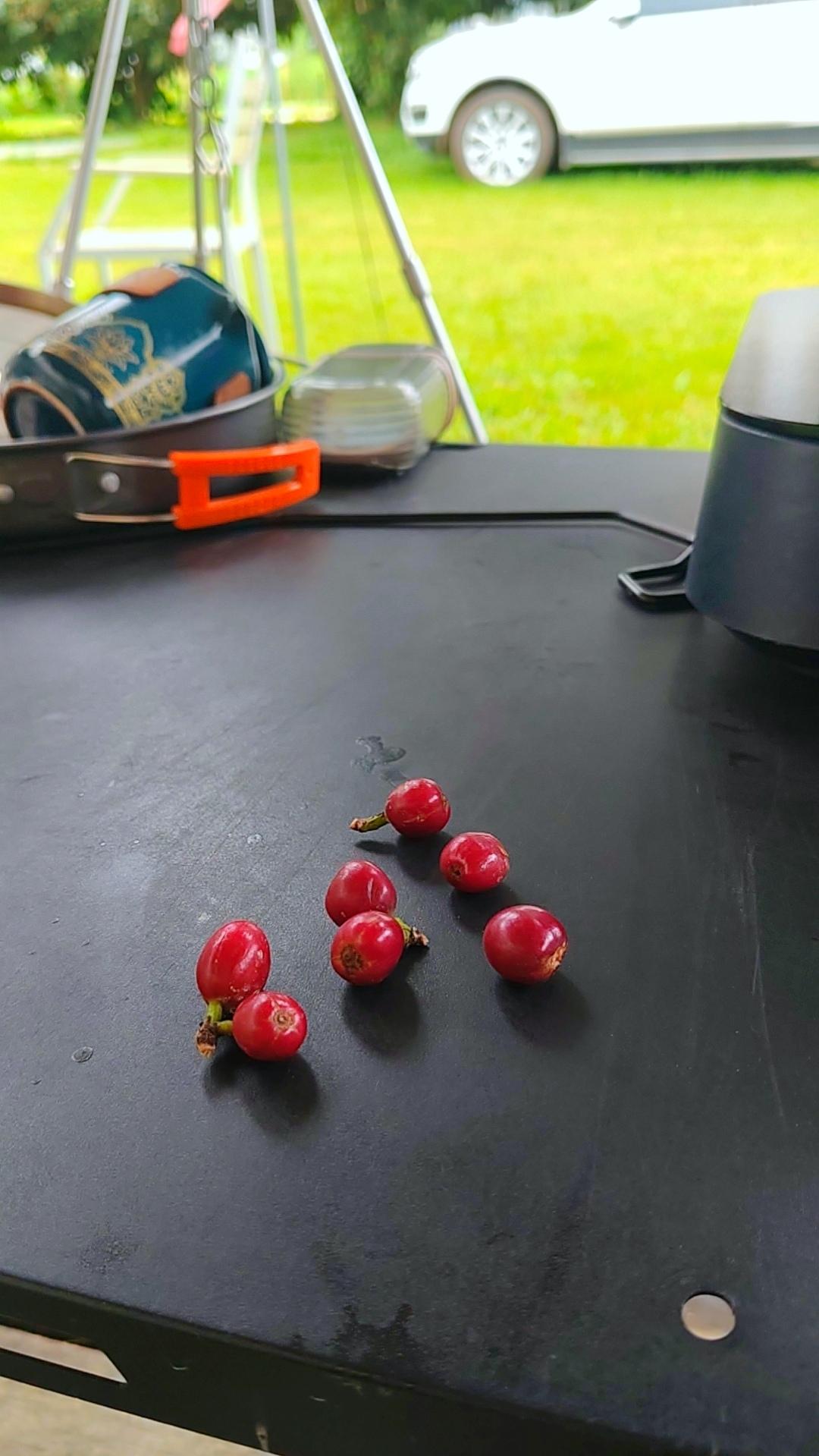 我再声明
​这回我是问过老板娘的
只是这红豆子怎么变成我特别爱爱爱喝的咖啡☕
​