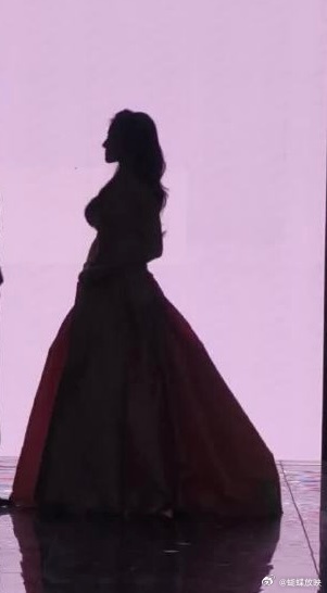 李兰迪神级剪影微博之夜李兰迪的红毯剪影美到Next level，流畅优雅的线条勾