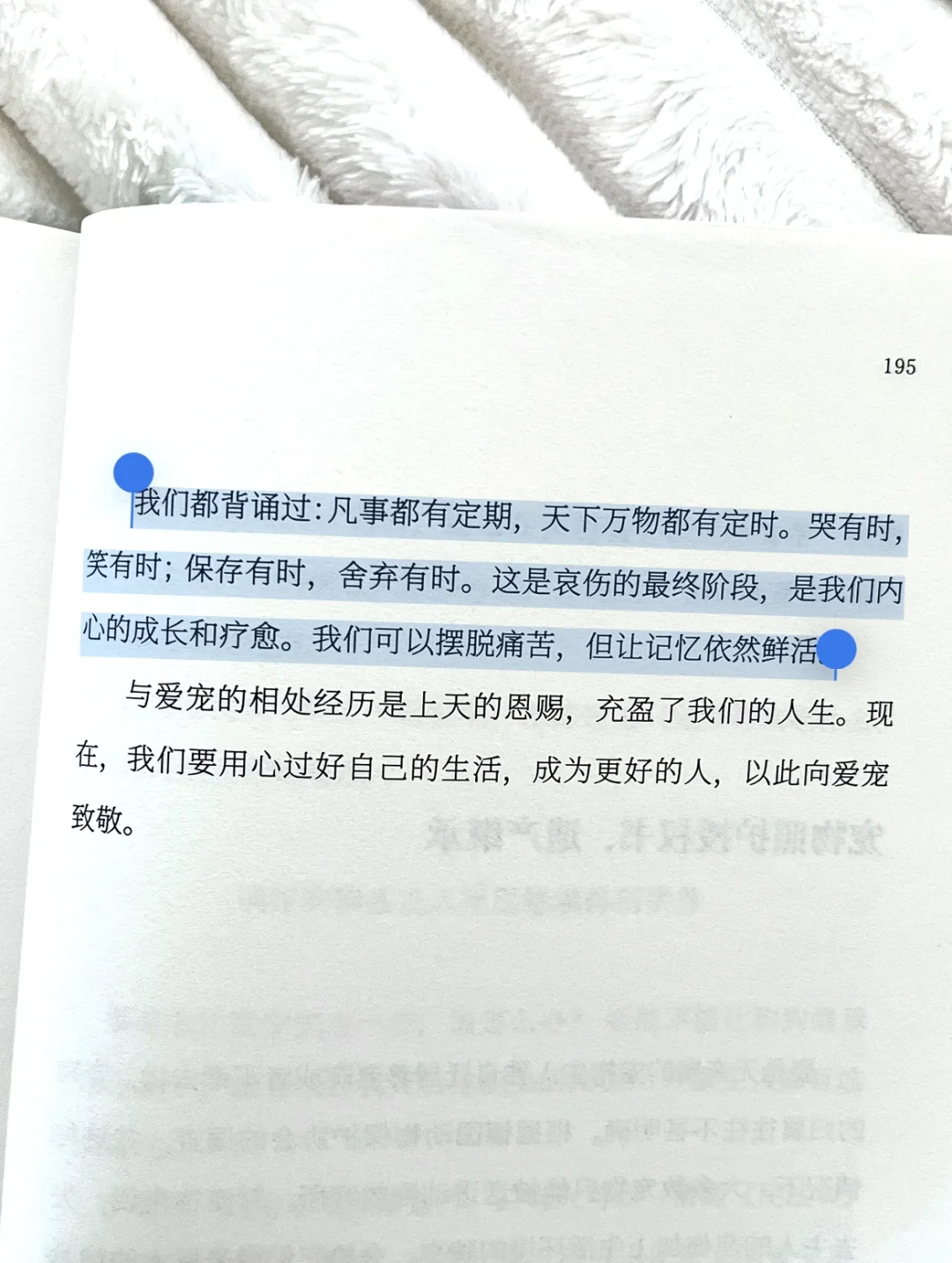 怎么会有这么治愈的书啊！😭被狠狠安慰到了！